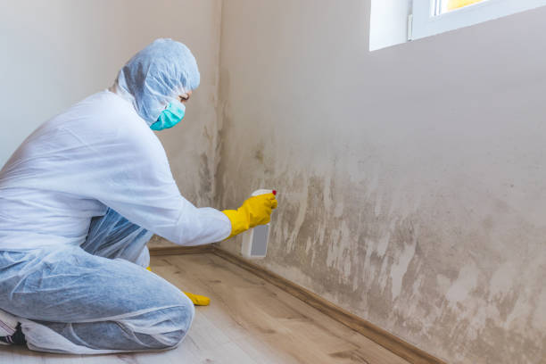 Licensed Bathroom Mold Removal service in Ridgefield Park, NJ - Car Mold Remediation